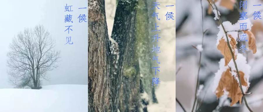 今日小雪，寒潮來(lái)襲，洗瓶機(jī)來(lái)幫你解放雙手吧！